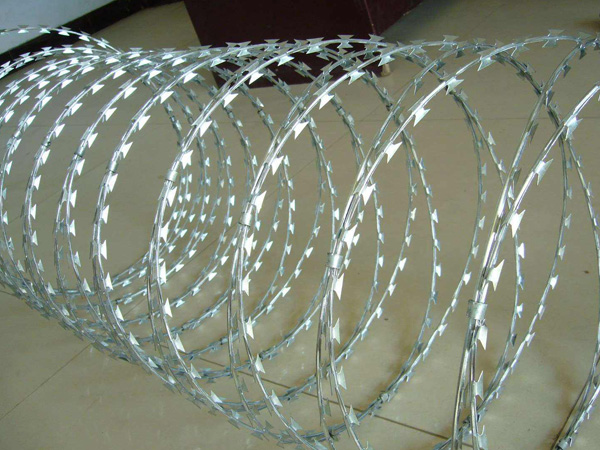 S.S Barbed Wire - Anping Wentai Metal Wire Mesh Co.,Ltd图片2